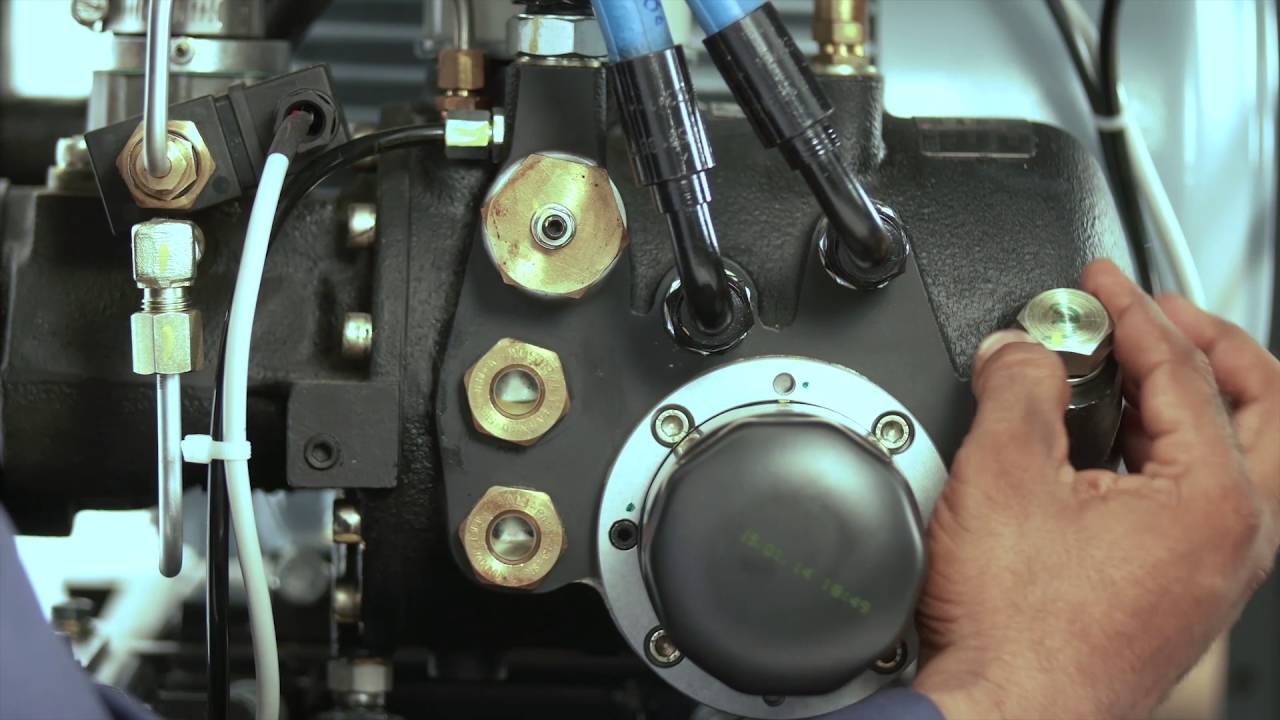 Hướng dẫn thay dầu máy nén khí trục vít tại nhà xưởng đúng kỹ thuật